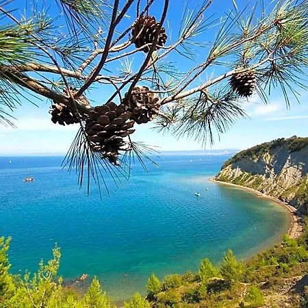 Svoboda - Terme Krka