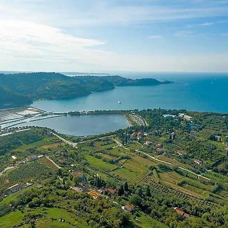 Svoboda - Terme Krka Hotel 4*
